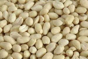 Erdnußkerne blanchiert 25kg