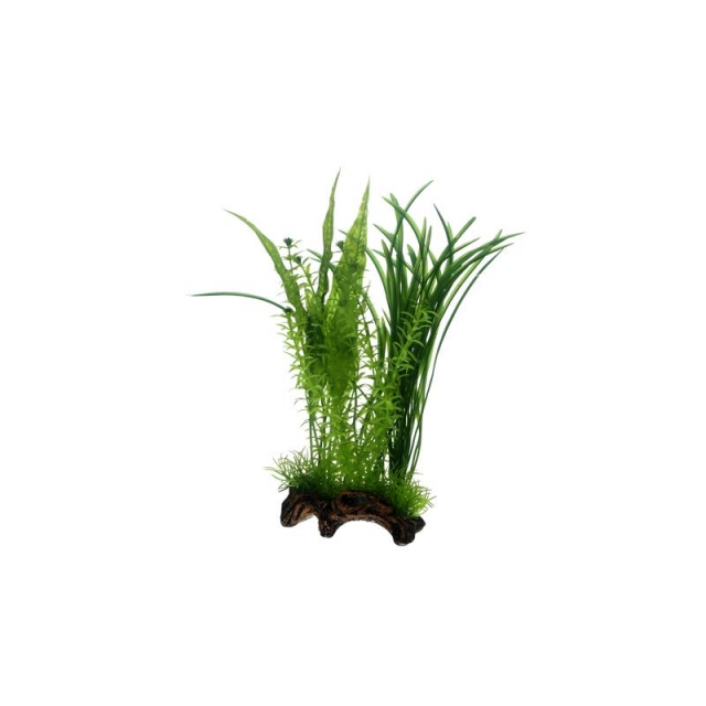 Dohse Hobby Flora Root  1   L   30 cm